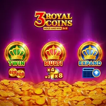 3 Royal Coins: Hold and Win character