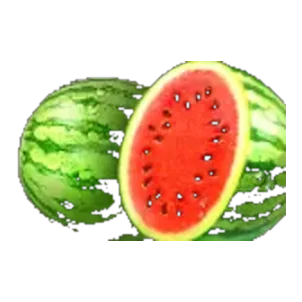 Watermelon symbol